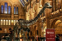 1501080211natural-history-museum-london